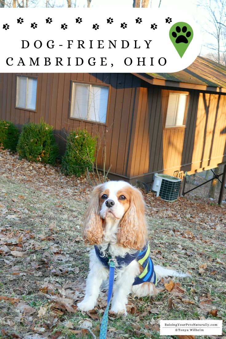 Dog-Friendly Vacations in the Midwest - Cambridge, Ohio. Dog-Friendly Restaurants and Landmarks. #raisingyourpetsnaturally #dogfriendlyvacations #dogfriendlyrestaurants #dogfriendly #petfriendly #roadtripwithdog #travelingwithdogs #dogfriendlycottages