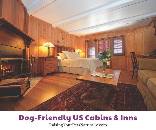 Pet-friendly resorts in CA