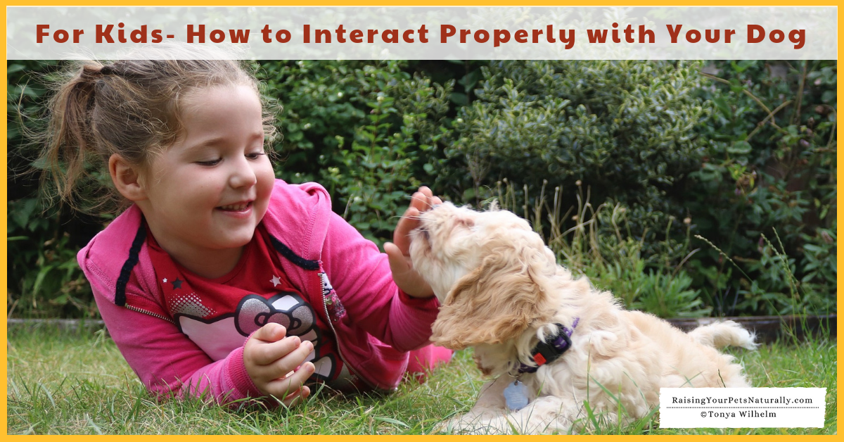 Teaching kids how to interact properly with their dog. #raisingyourpetsnaturally