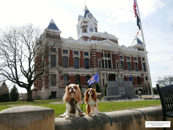 Dog-Friendly Festival Country Indiana Road Trip. A fun Midwest weekend road trip with a dog. #raisingyourpetsnaturally