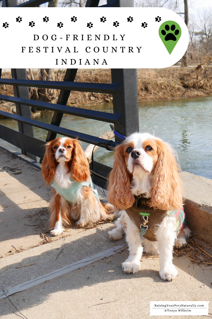 Dog-Friendly Festival Country Indiana Road Trip. A fun Midwest weekend road trip with a dog. #raisingyourpetsnaturally #dextersdestinations #festcountryin #dogfriendly #dogfriendlyindiana #mwtravel #dogfriendlymidwest #petfriendly #travelingwithdogs #dogroadtrip 