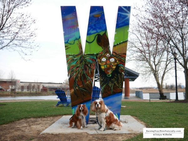 Dog-Friendly Wilmington, Delaware Travel Guide. Dexter and Levi's Dog Road #raisingyourpetsnaturally