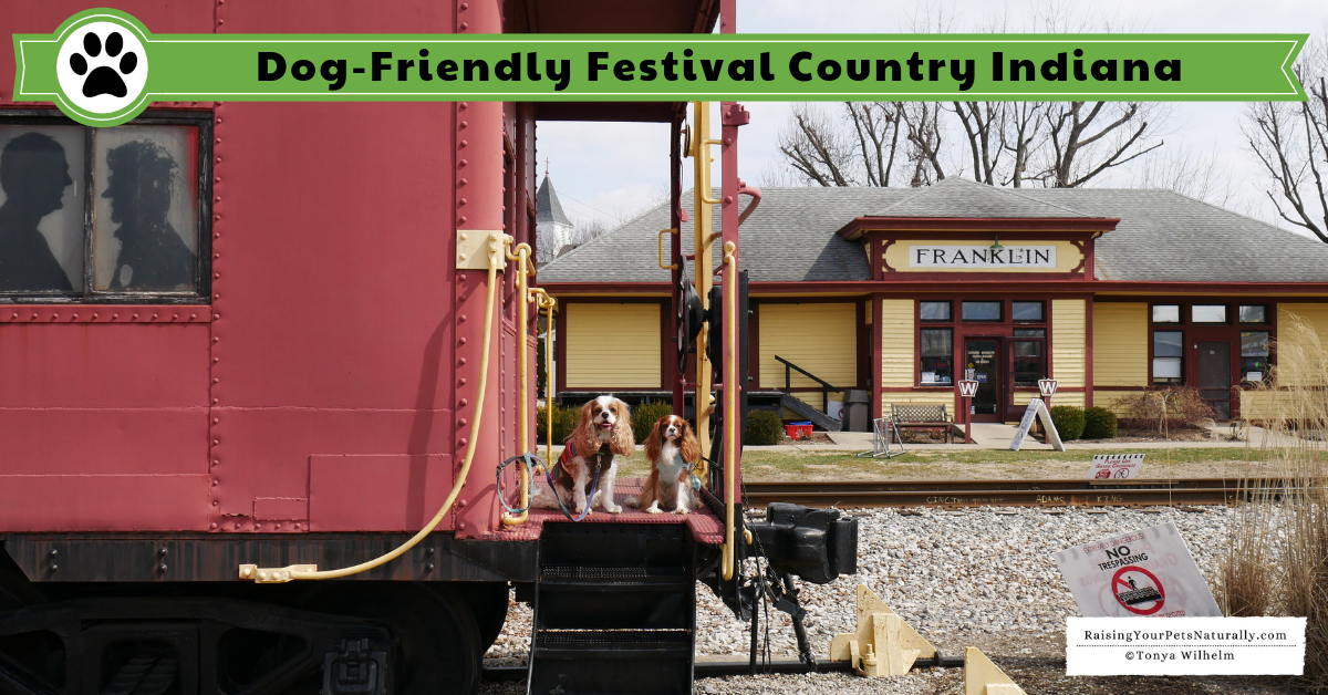 Dog-Friendly Festival Country Indiana Road Trip. A fun Midwest weekend road trip with a dog. #raisingyourpetsnaturally