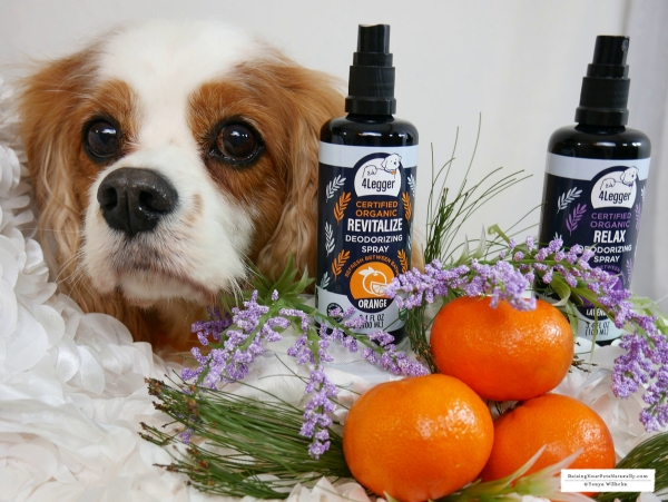 Organic Dog Perfume 4-Legger USDA Certified Organic Dog Deodorizing Spray Review. #raisingyourpetsnaturally