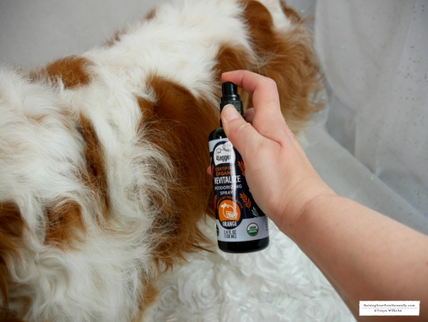 Organic Dog Perfume 4-Legger USDA Certified Organic Dog Deodorizing Spray Review. #raisingyourpetsnaturally