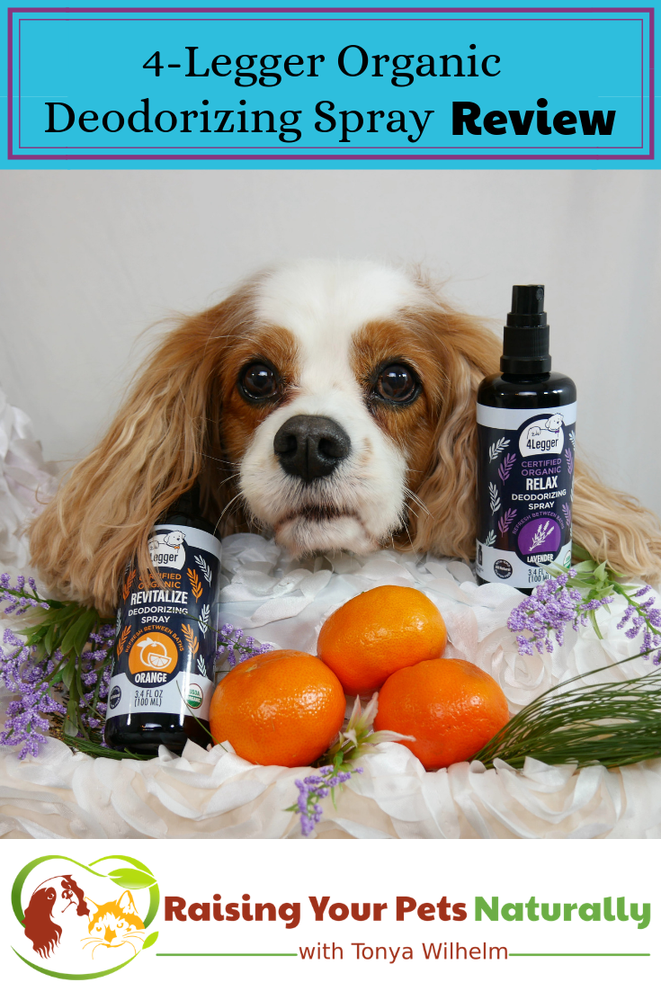 Organic Dog Perfume 4-Legger USDA Certified Organic Dog Deodorizing Spray Review. #raisingyourpetsnaturally #4legger #dogperfume #puppyperfume #dogperfumespray #bestdogperfume #dogcolgnespray