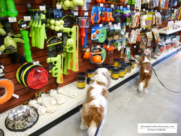 Dog-friendly stores near me