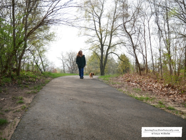 Best dog parks in Indiana
