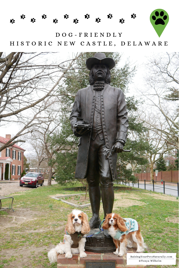 Dog-Friendly Historic New Castle, Delaware | Things To Do in New Castle with a Dog