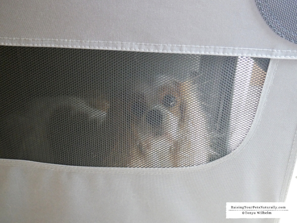 Dog travel kennel