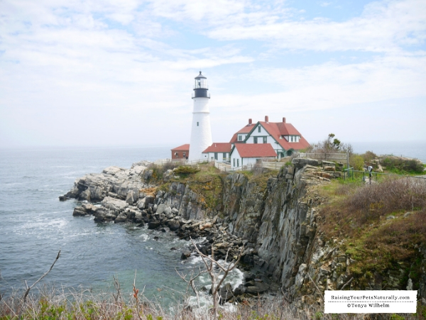 most photographed lighthouses 