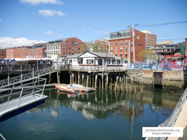 Best Sights in Portland, Maine