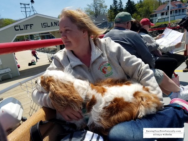 Pet friendly boat rides in Maine