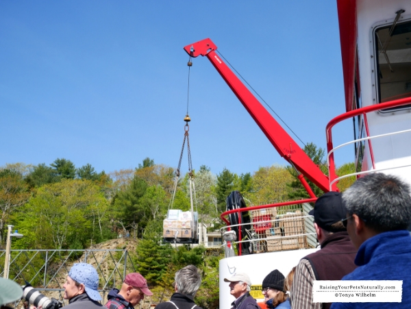 dog friendly boat tours in maine