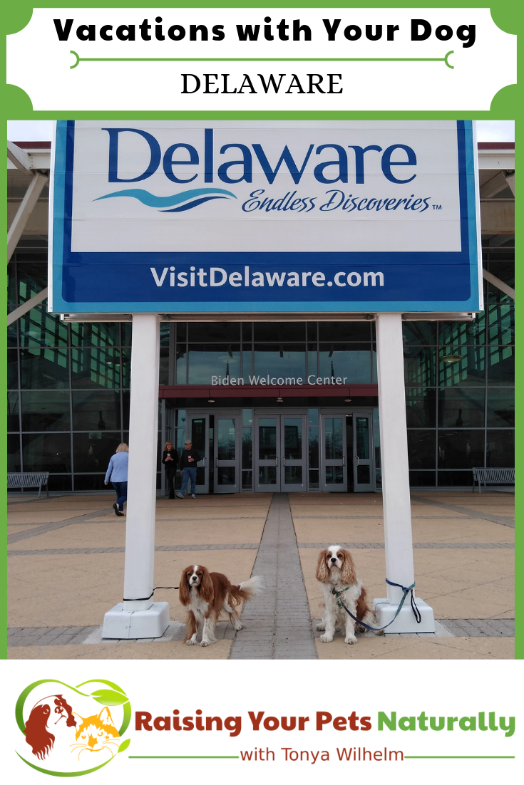 Vacations with Your Dog | Dog-Friendly Delaware