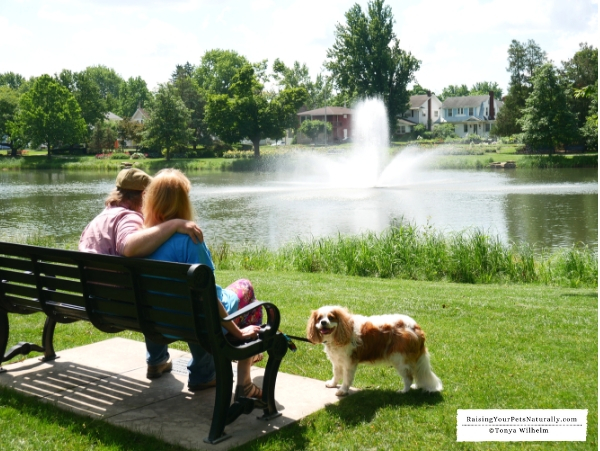 Dog-friendly public gardens