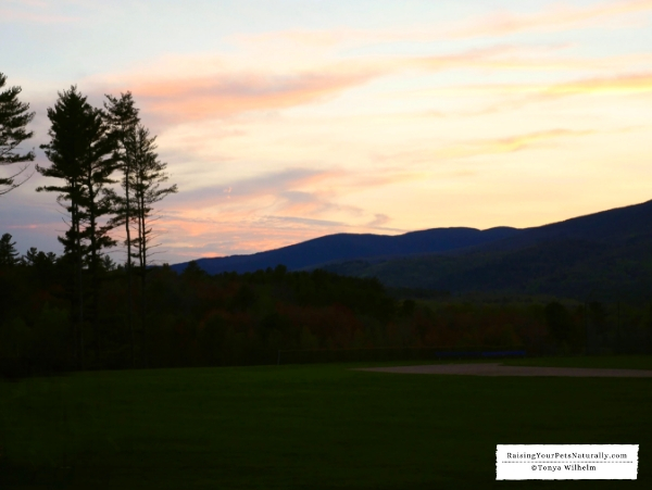 Stunning Maine sunsets