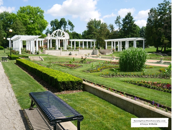 Public gardens that allow dogs