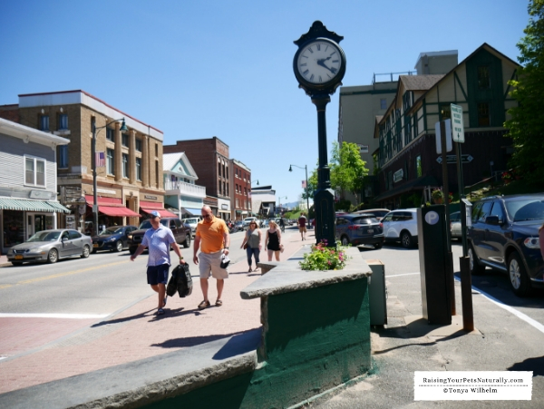 Dog-friendly stores in Lake Placid