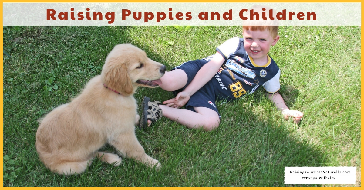 Teaching dogs and kids