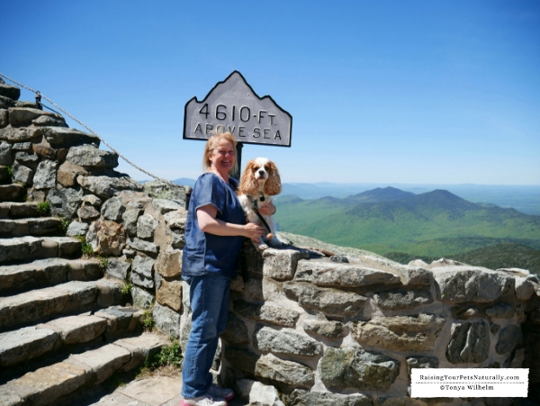Whiteface Mountain Pets