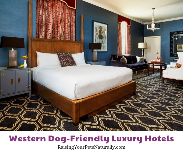 Utah luxury hotels pet friendly 