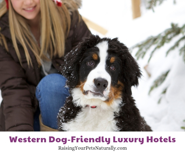 Pet friendly resorts in Utah 