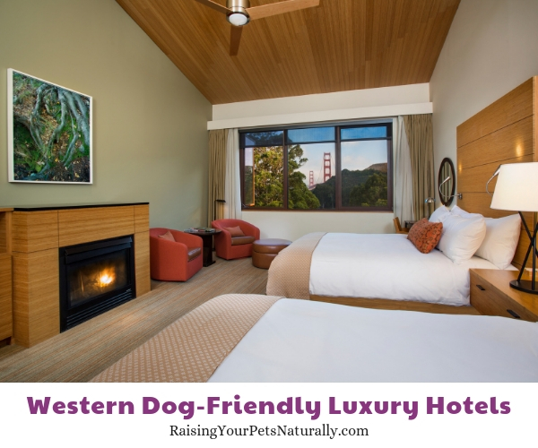 Luxury dog friendly resorts in Californai