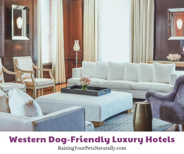 Western dog friendly hotels