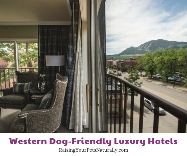 Boulder Colorado dog friendly hotels