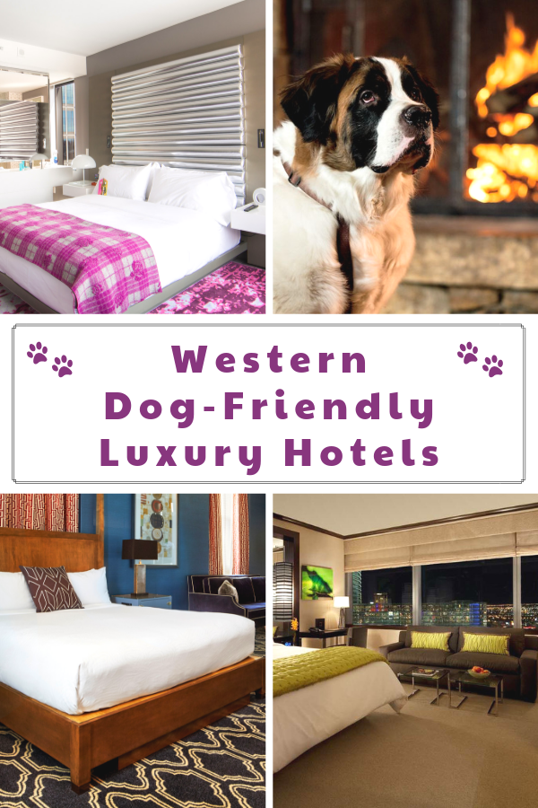 The Top Pet-Friendly Luxury Hotels, Resorts and Accommodations on the West Coast