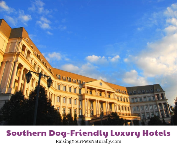 Texas dog-friendly luxury resorts and hotels