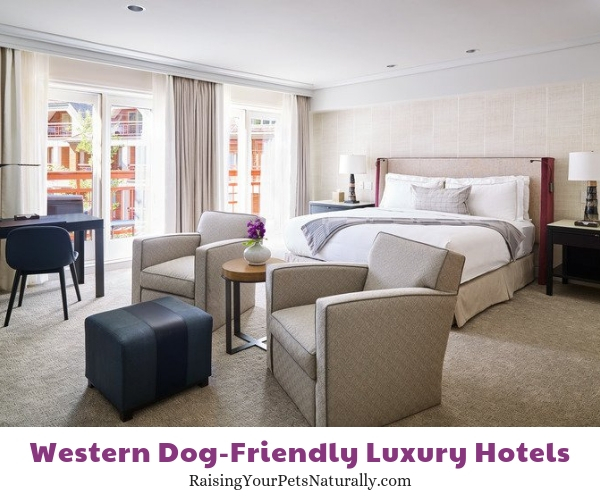 Aspen dog-friendly hotels