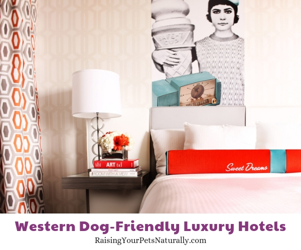 Denver Colorado luxury pet friendly hotels