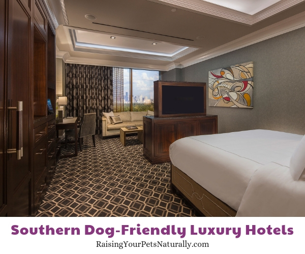 Houston luxury pet friendly hotels