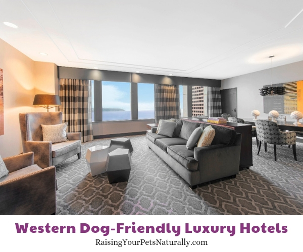 Best Seattle Washington pet friendly hotels