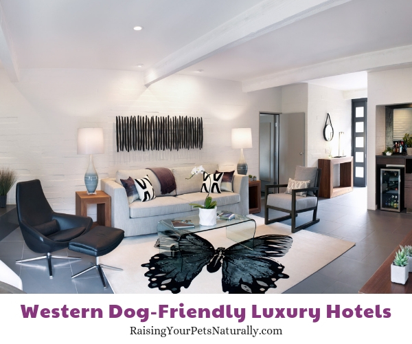 Pet friendly resorts in Arizona