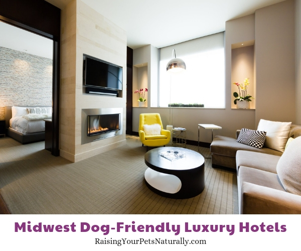 Indiana luxury dog-friendly hotels