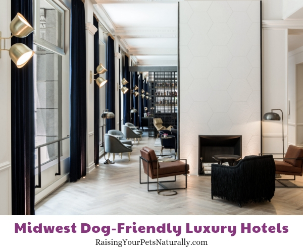 5 star dog friendly hotels in Illinois 