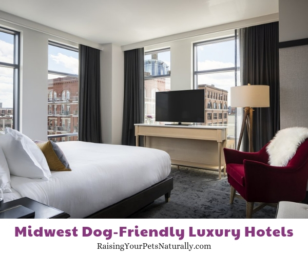 Luxury pet friendly hotels in Milwaukee 