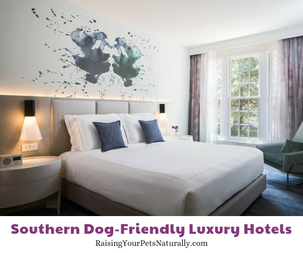 Virginia luxury pet friendly hotels