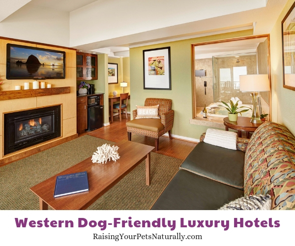 Cannon Beach pet-friendly resorts