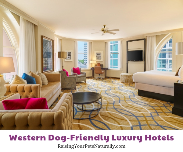 Denver CO luxury pet friendly hotels