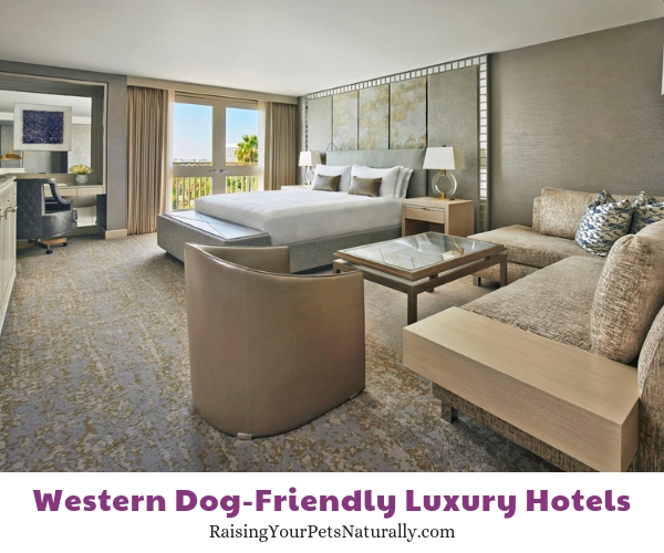 Five star Beverly Hills pet friendly