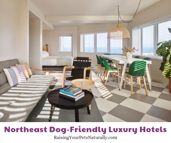 New Jersey dog friendly luxury resorts