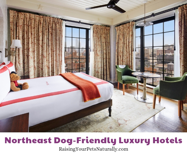 NY NY luxury pet friendly hotels