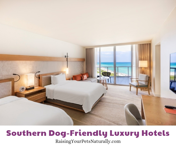 Florida pet friendly five star hotels