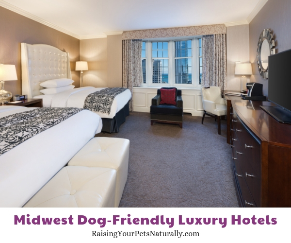 Luxury Wisconsin pet friendly hotels