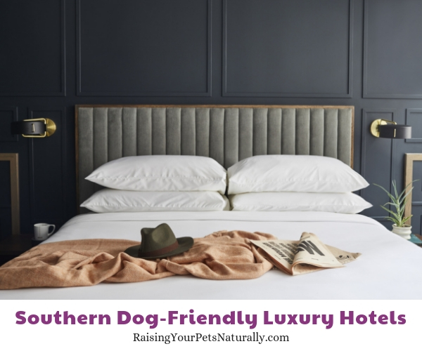 Nashville luxury pet friendly hotels