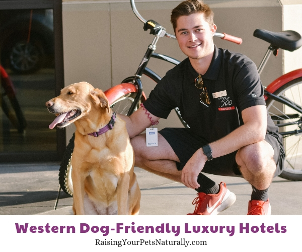 5 star pet-friendly resorts in Idaho 